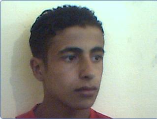 lmsdom mon ami 3amir